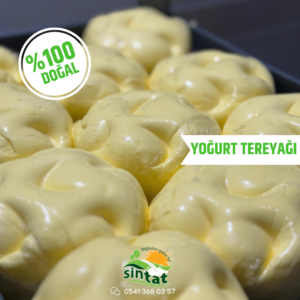 Yoğurt Tereyağı